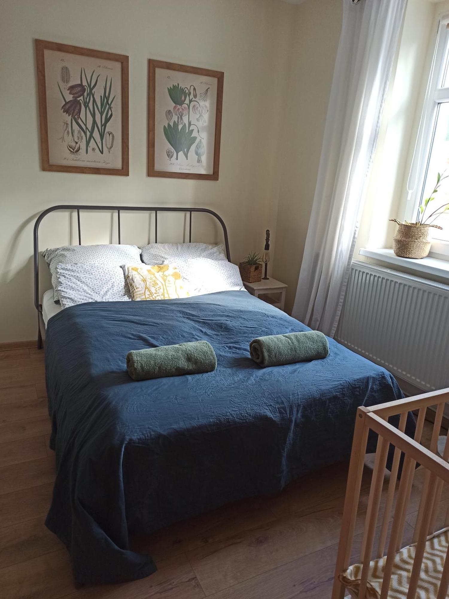 Apartament Przy Wandy 锡隆纳葛拉 外观 照片